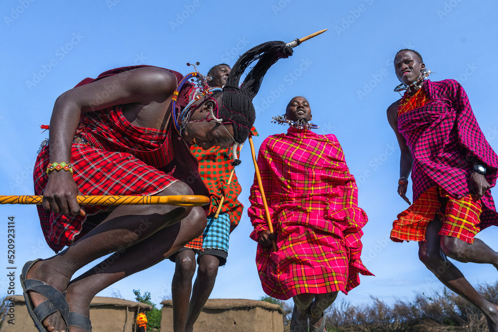 Africa Collection